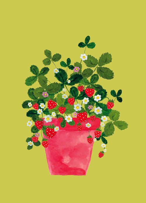 Ansichtkaart - Aardbeienplant