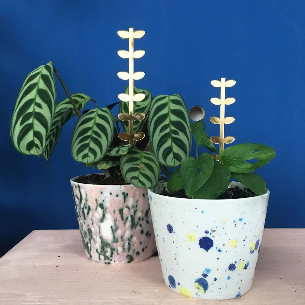 Plantensteun set Leaves