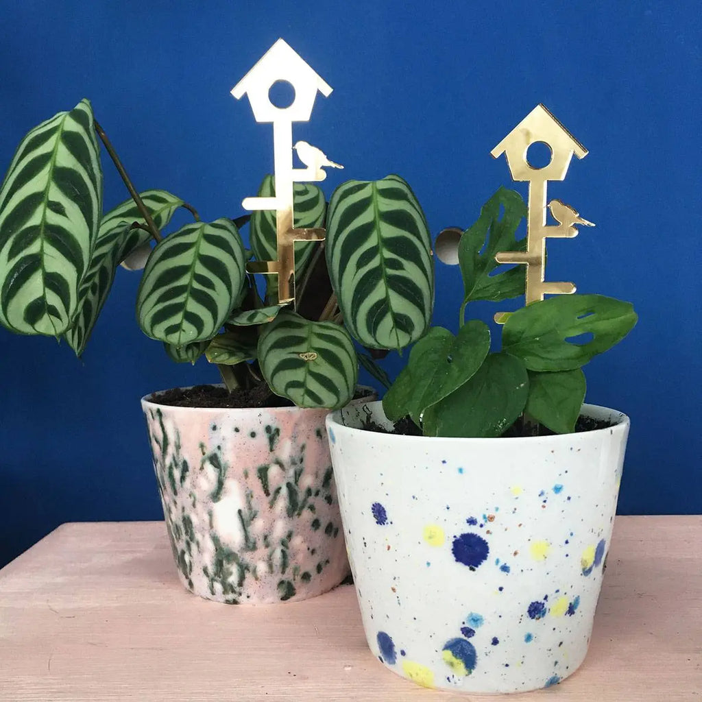 Plantensteun set Birdhouse en Leaves