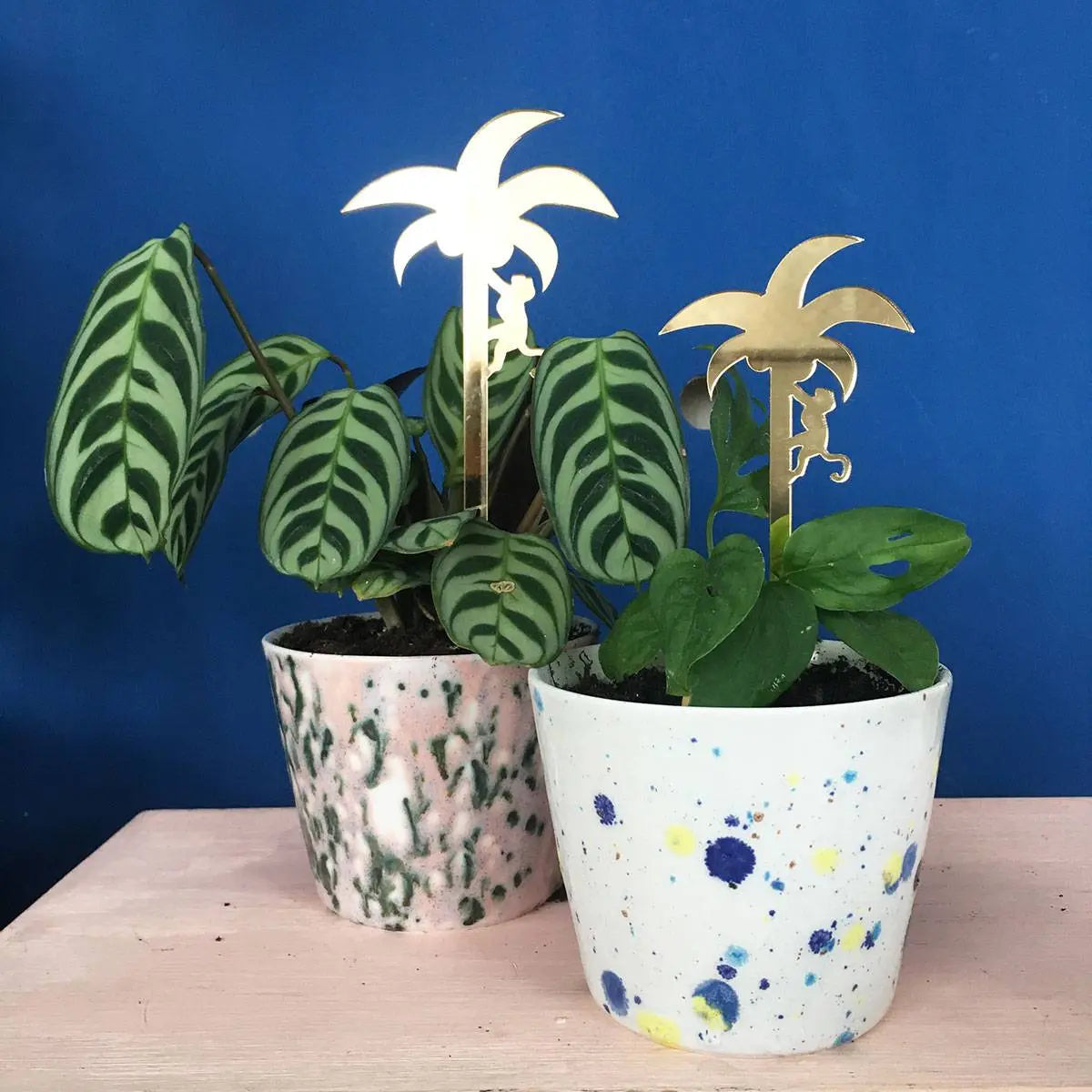 Plantensteun set Palm