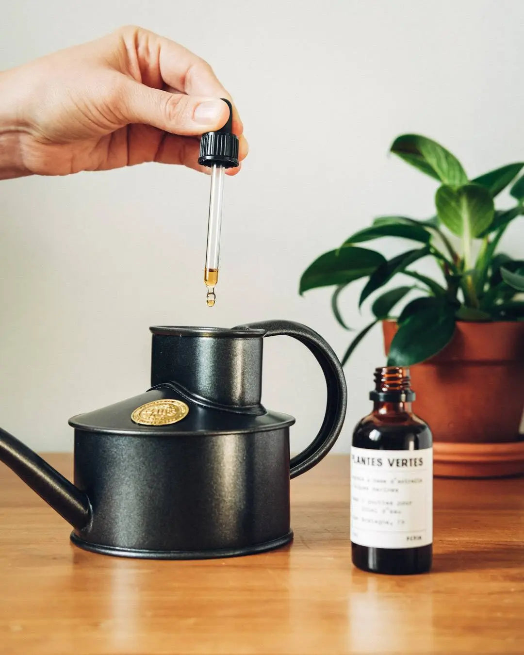 Plantenvoeding voor cactussen en vetplanten