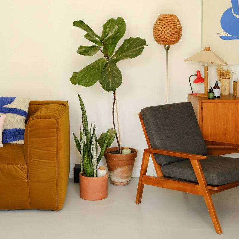 Olla van Pepin (oranje en blauw gestreept)