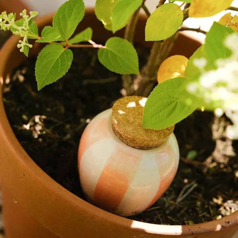 Olla van Pepin (oranje en blauw gestreept)