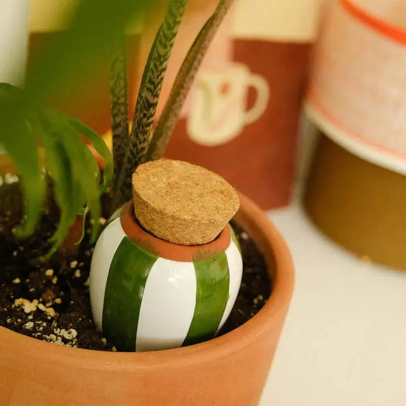 Olla van Pepin (oranje en blauw gestreept)