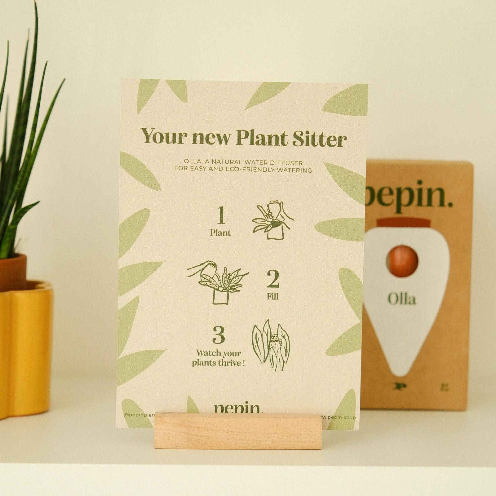 Olla van Pepin (groen)