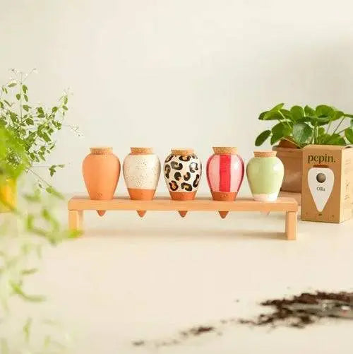 Olla van Pepin (oranje en blauw gestreept)