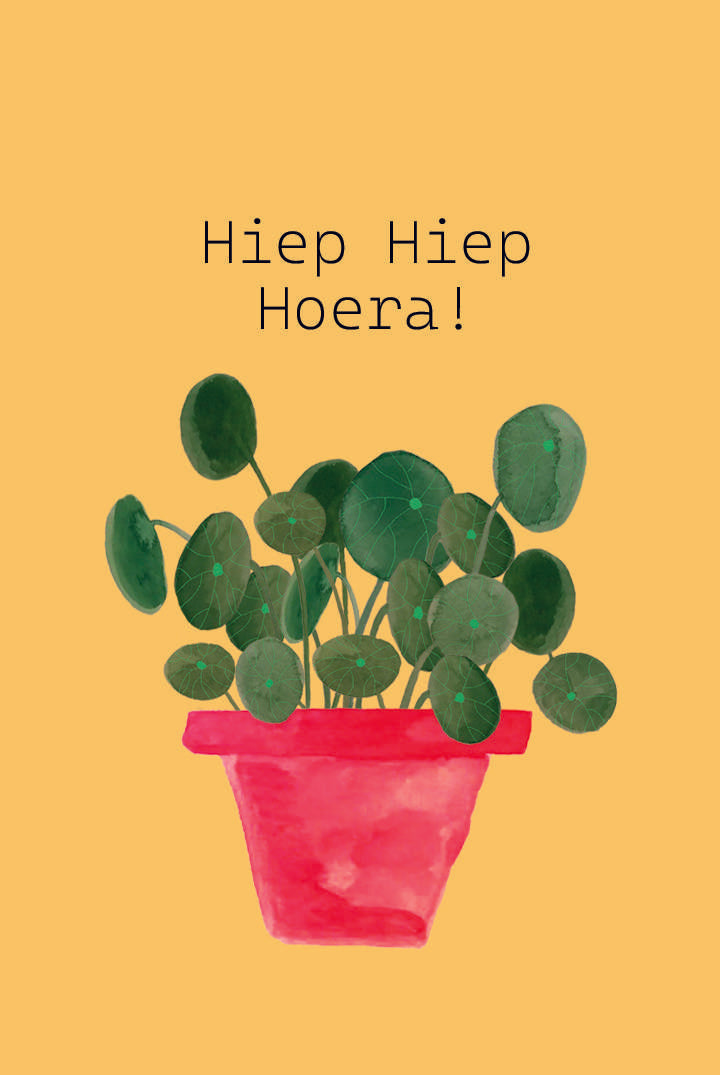 Mini kaartje - Hiep hiep hoera