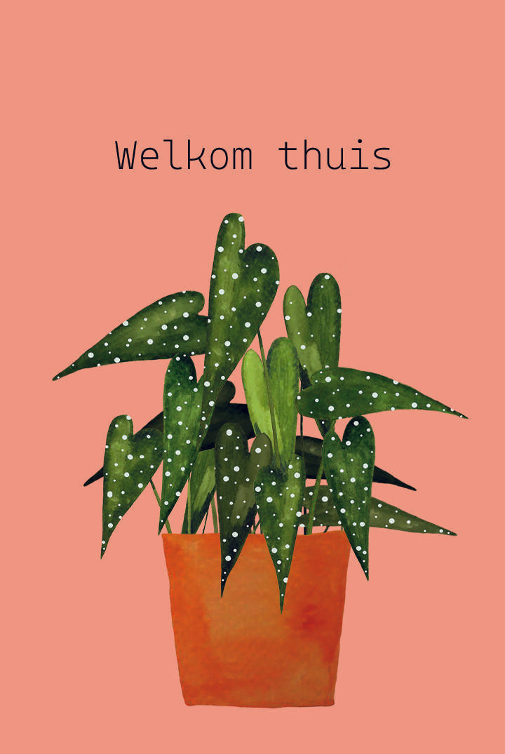 Mini kaartje - Welkom thuis