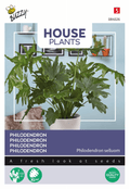 Buzzy® House Plants Philodendron Selloum