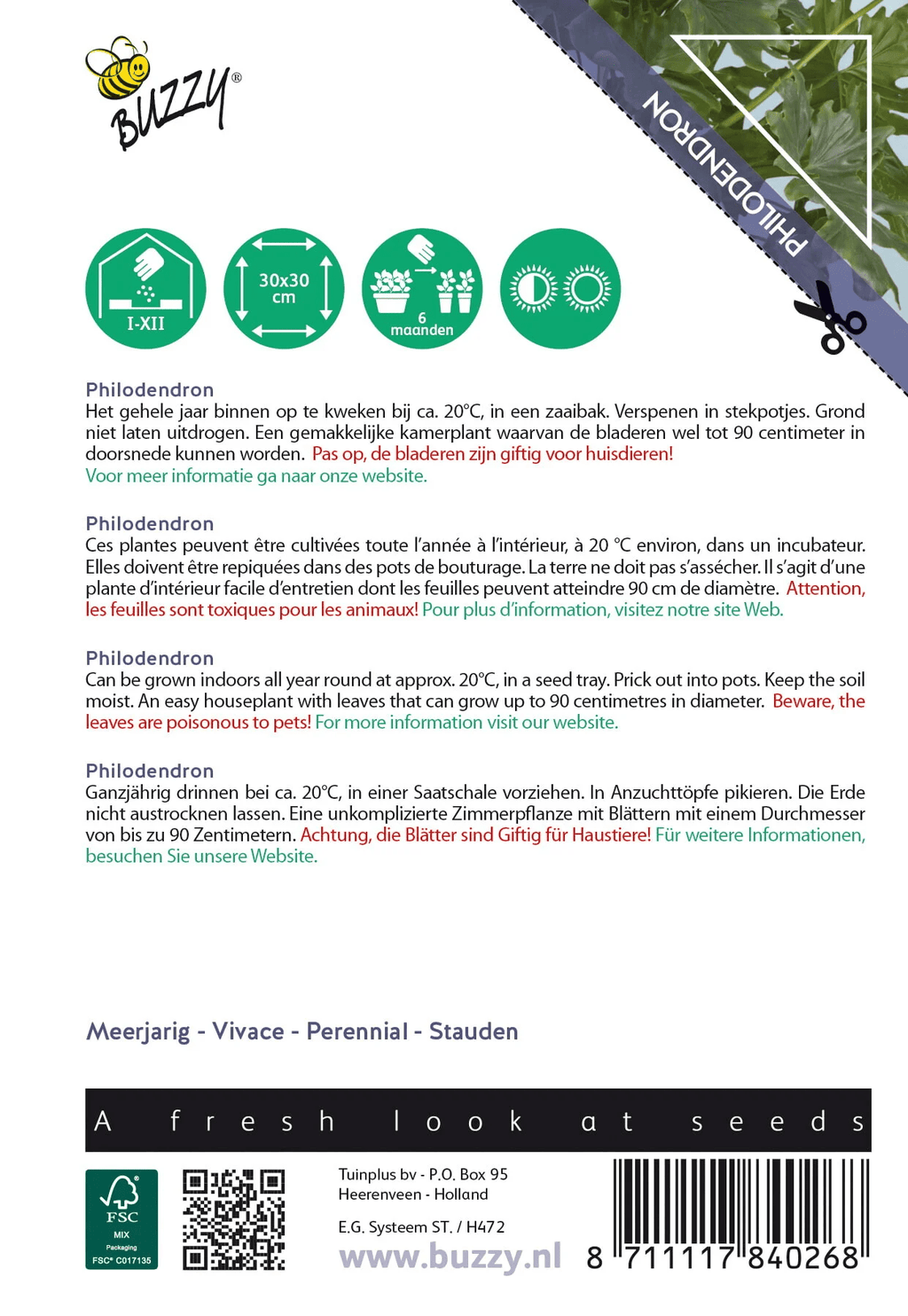 Buzzy® House Plants Philodendron Selloum