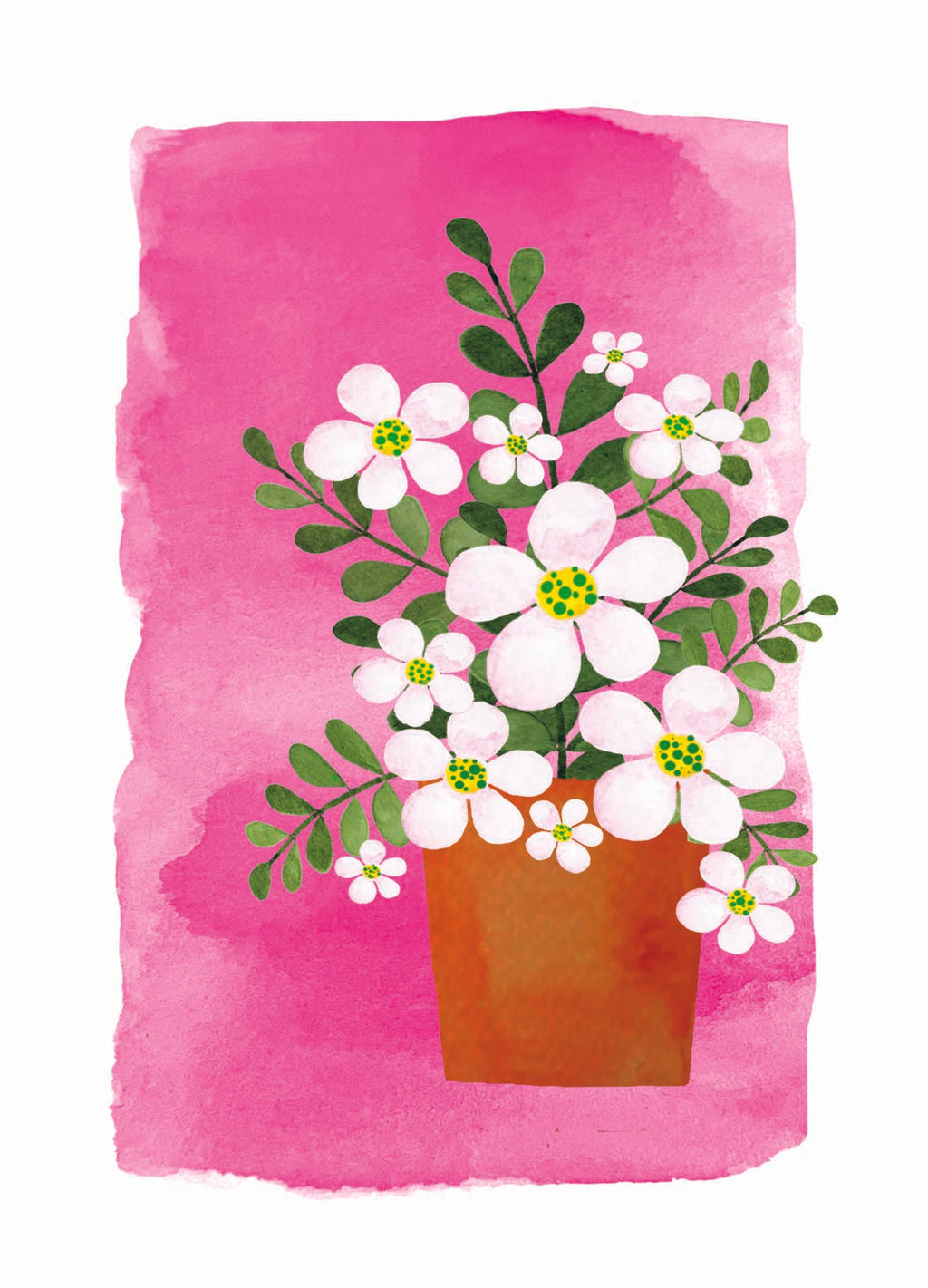 Ansichtkaart - Zachtroze madeliefjes in terracotta pot