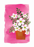 Ansichtkaart - Zachtroze madeliefjes in terracotta pot