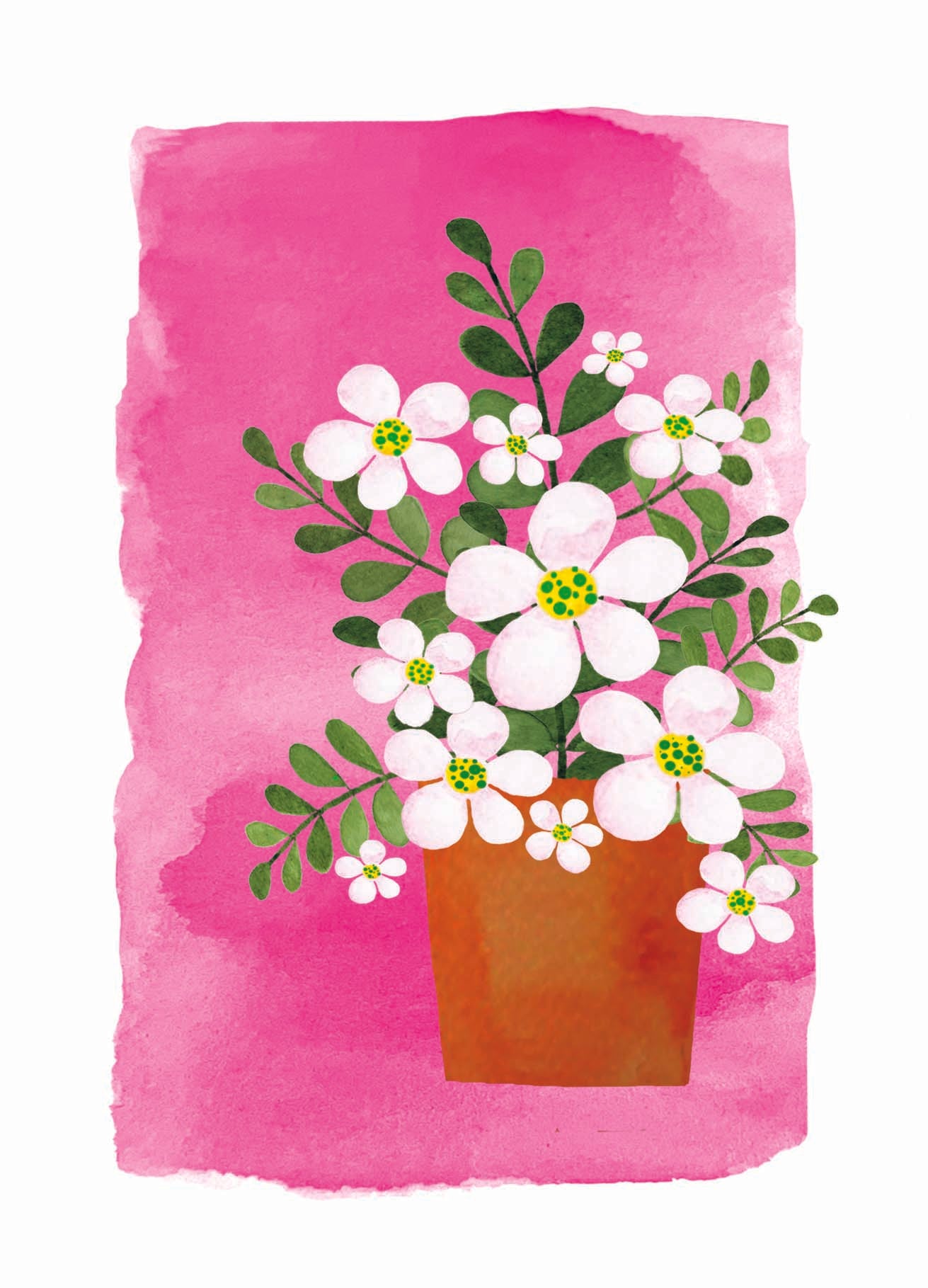 Ansichtkaart - Zachtroze madeliefjes in terracotta pot