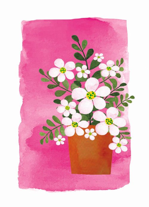 Ansichtkaart - Zachtroze madeliefjes in terracotta pot